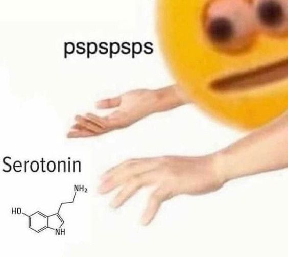 pspspsps Serotonin (Ina POV)